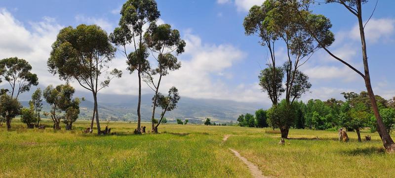 0 Bedroom Property for Sale in Paarl Rural Western Cape